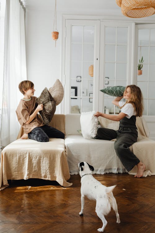 Siblings Playing in the Living Room