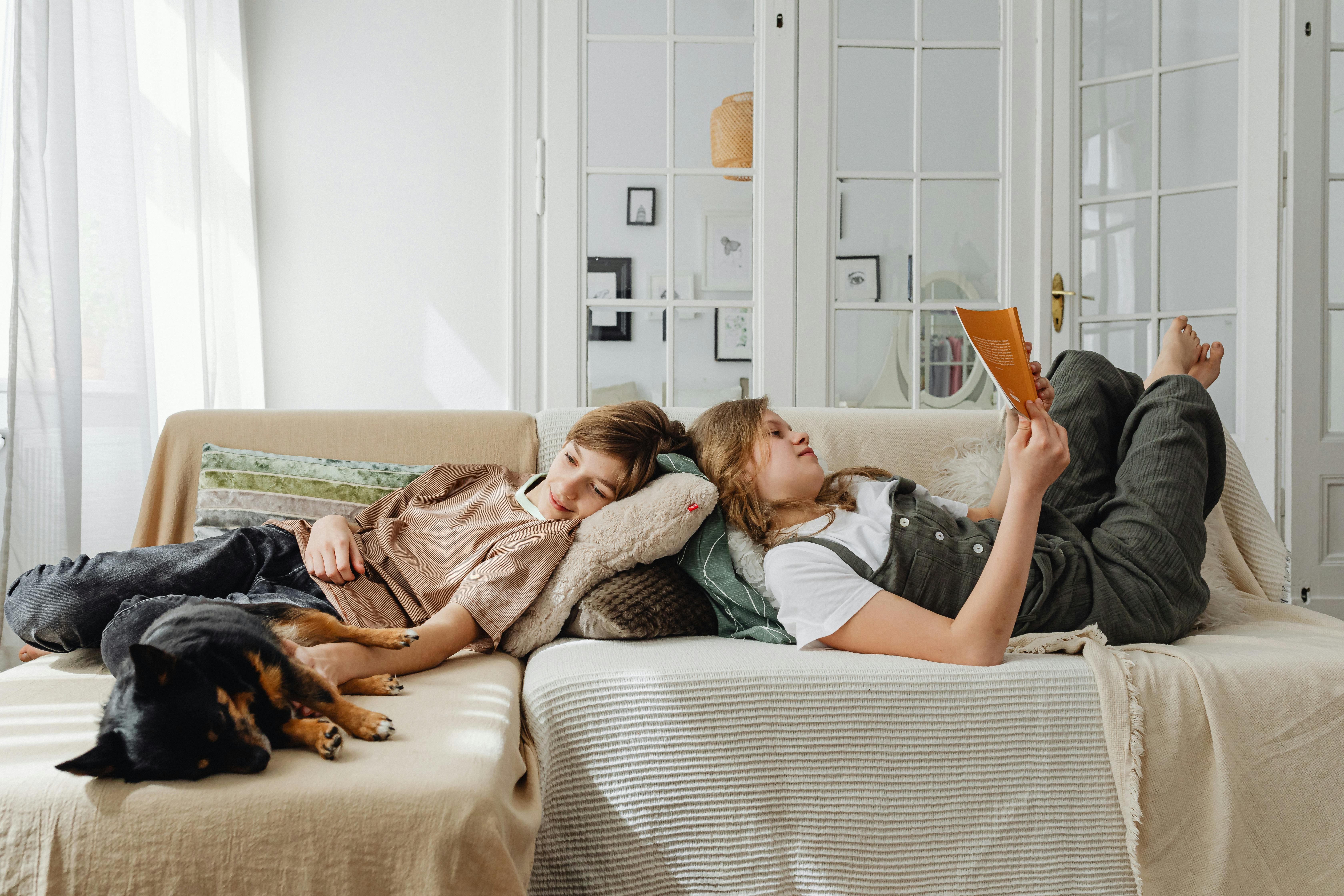 20,000+ Best Dorm Pet Photos · 100 Free Download · Pexels Stock Photos