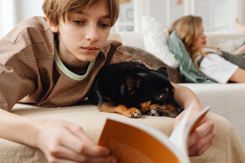 Free Close-up Shot of a Boy Lying on a Couch Beside His Pet Dog while Reading a Book Stock Photo