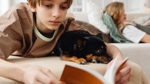 A boy reading a book with a black dog on a bed, enjoying a cozy indoor setting.