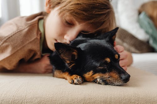 Free A Boy Sleeping With His Dog  Stock Photo