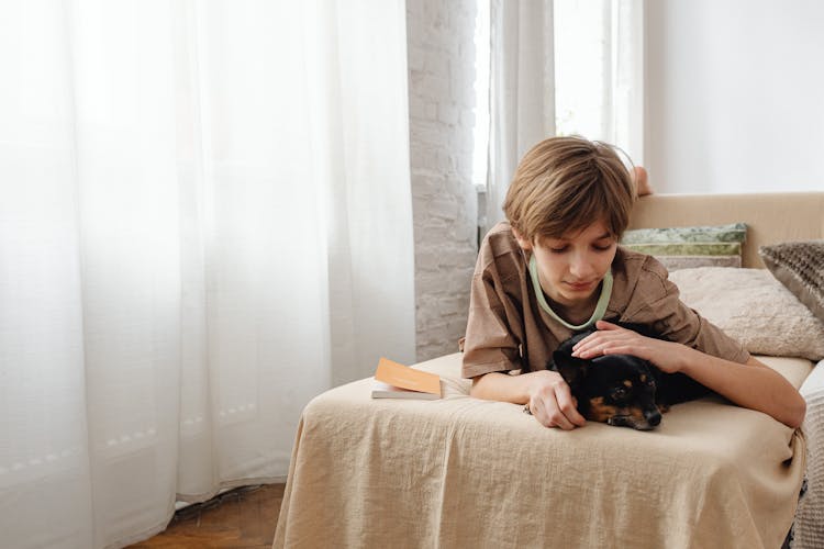 A Boy Touching The Black Dog Lying On A Couch