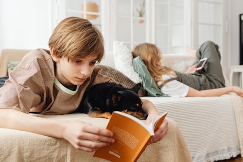 Free 

A Boy Reading a Book while Lying Down on a Couch Stock Photo