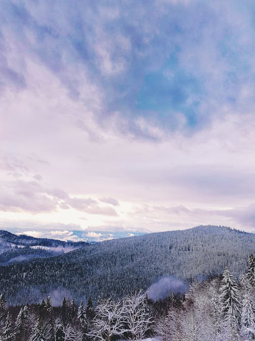 Gratis lagerfoto af bjerg, dagslys, forkølelse Lagerfoto
