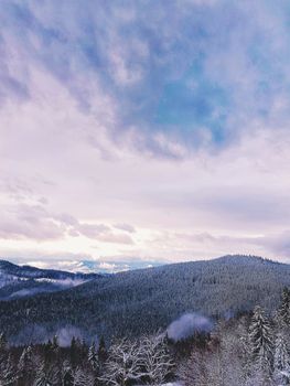 冬季山景优美，树木披着皑皑白雪，天空多云，非常适合自然爱好者