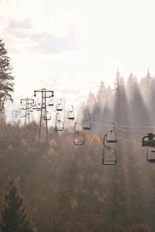 Photo of Cable Cars Near Trees