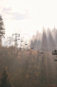 阳光照在风景优美的森林上空，空荡荡的缆车静静悬挂