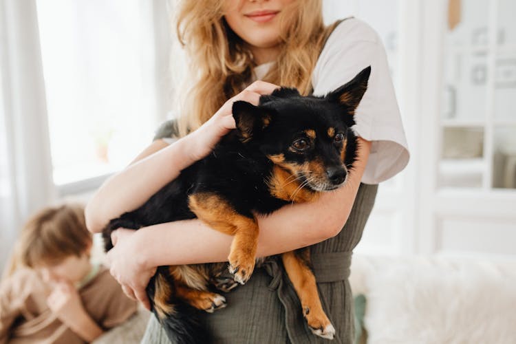 Blonde Person Carrying A Black And Brown Short Coat Dog 