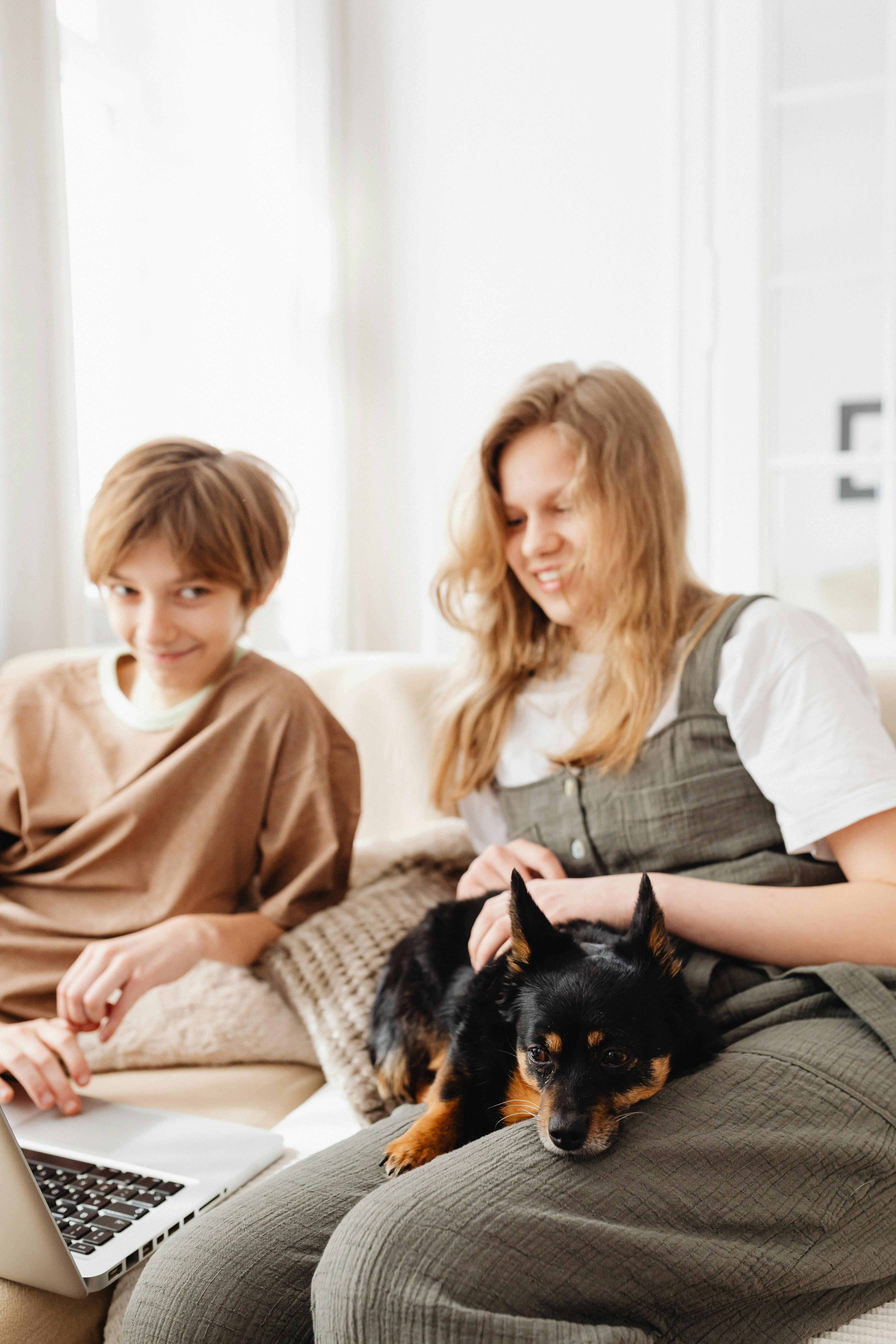 a black and brown short coat dog lying on the girl s lap