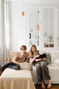 Free stock photo of adult, animal, at home