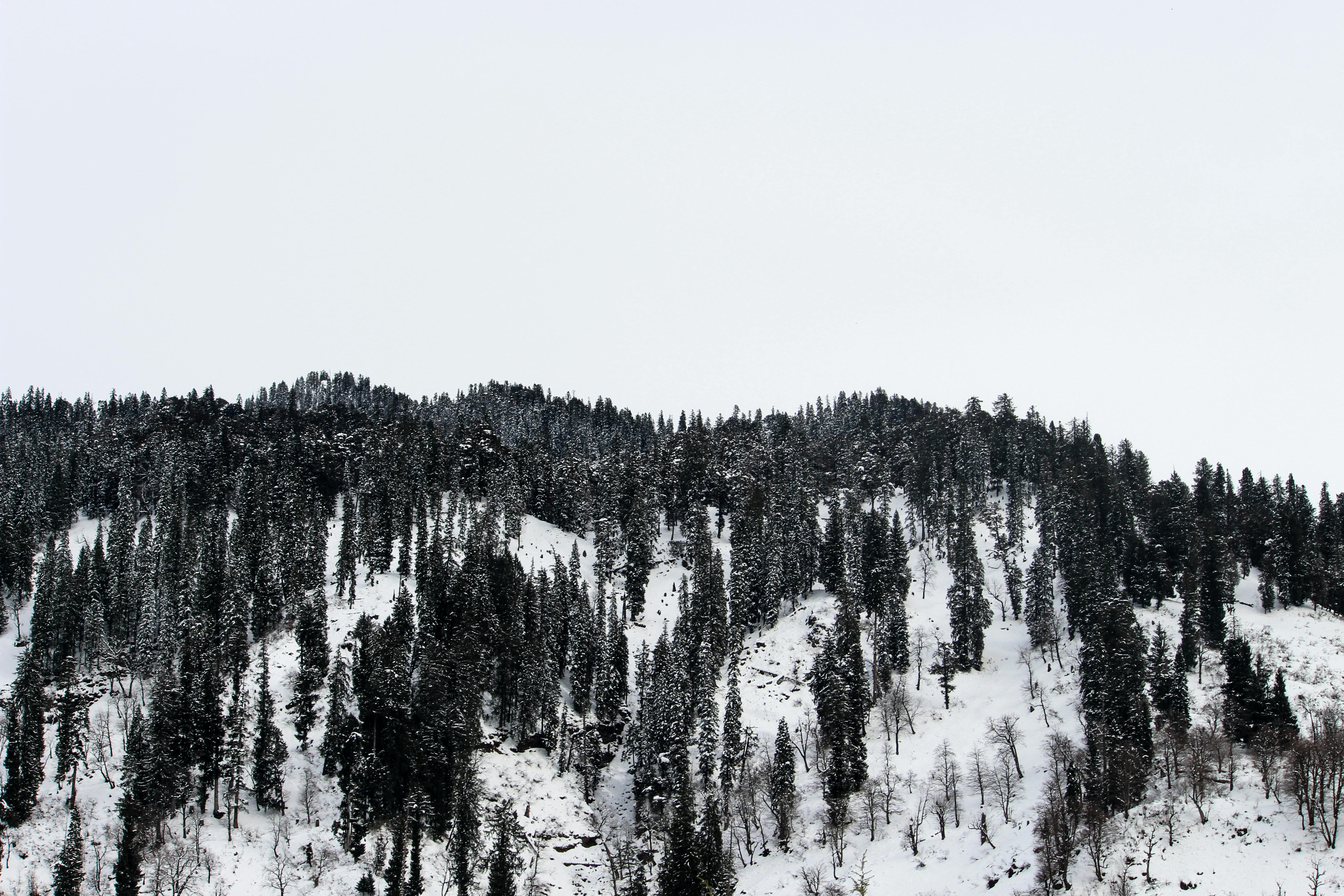 Safe investment strategies and financial planning for beginners 2025