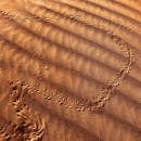 特写镜头下的沙漠沙子呈现出独特的动物足迹和温暖的波纹图案