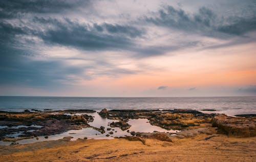 Foto profissional grátis de beira-mar, calma, costa