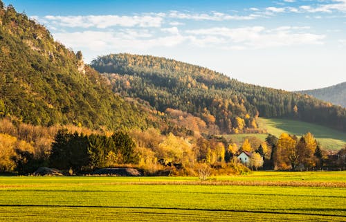 village on hillside meadow with forest in mountain Free Photo