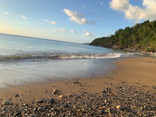 Foto profissional grátis de atraente, calmo, caribe