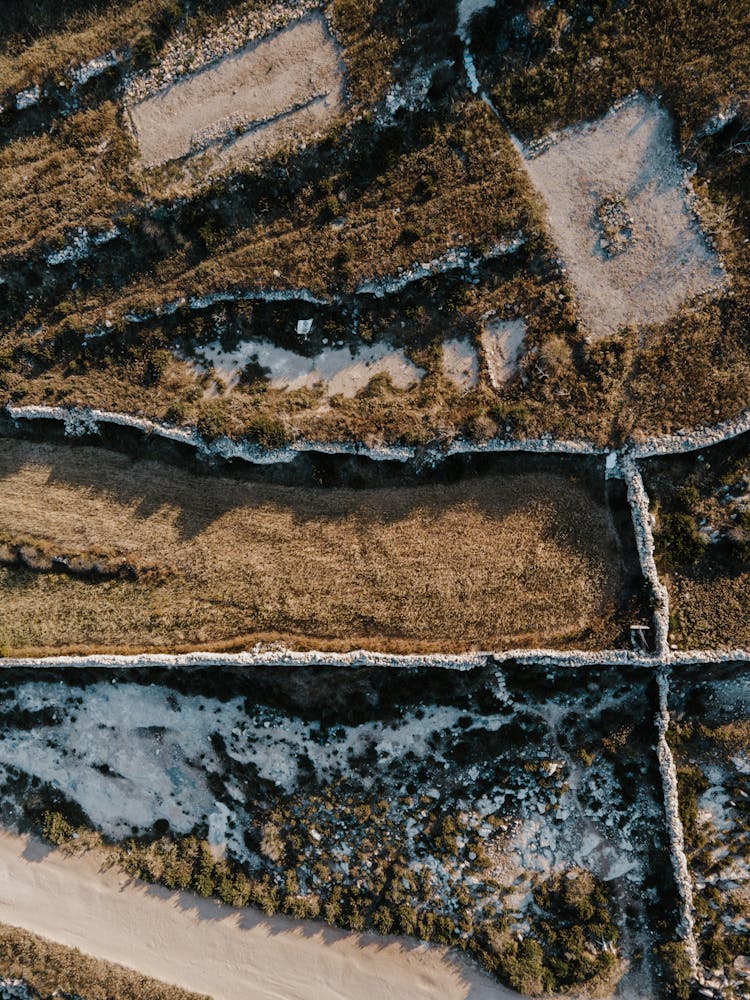 Bird's Eye View Of A Coastal Landscape