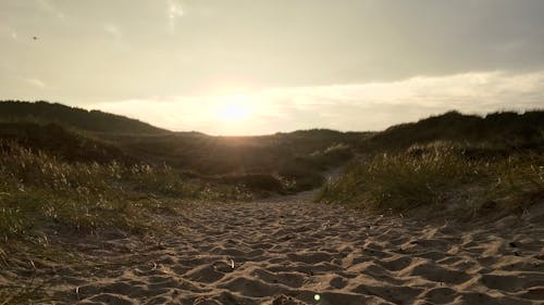 Безкоштовне стокове фото на тему «пляж, сонце»