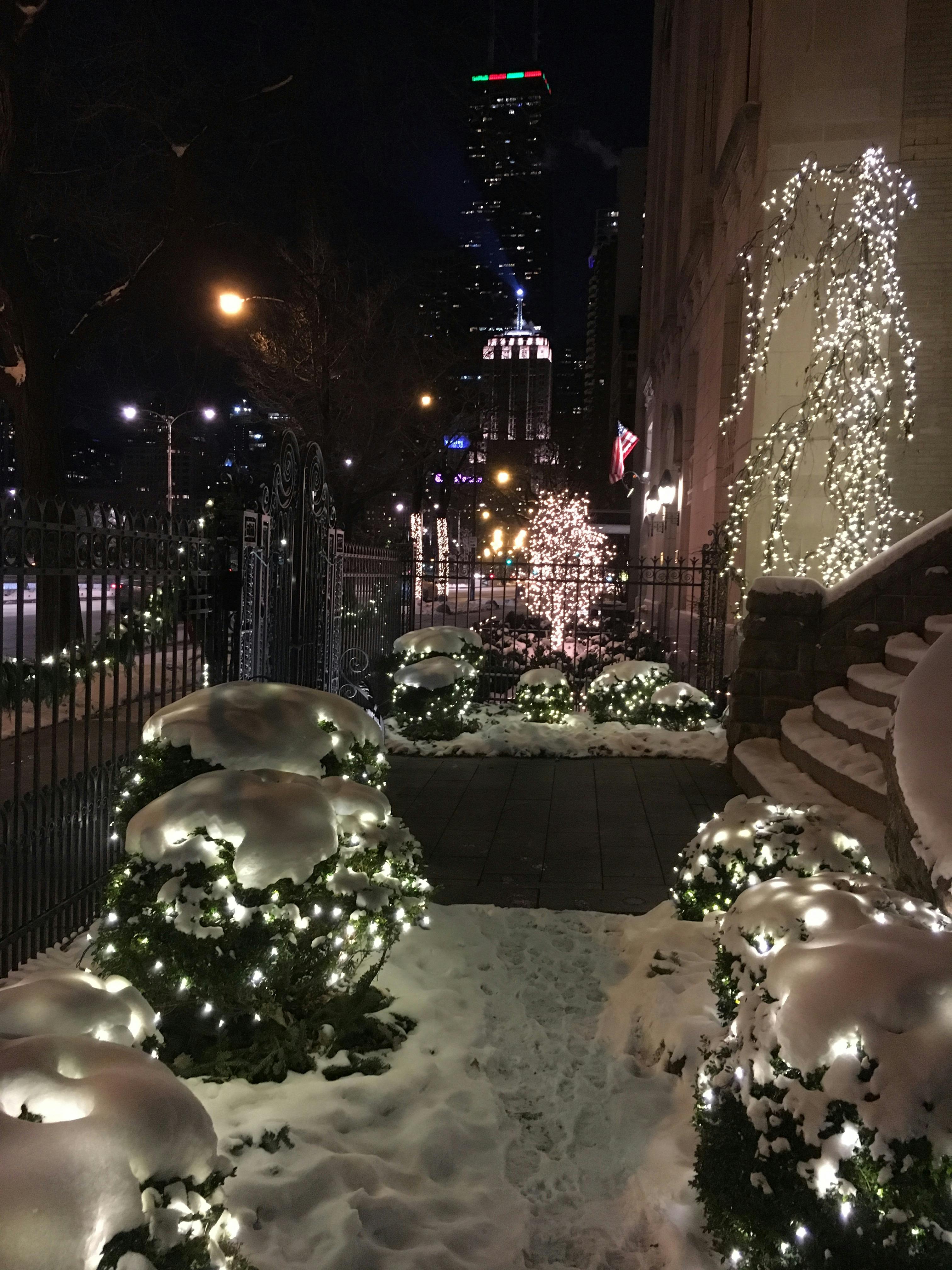 Christmas 2024 Chicago Area Cyndie Emelita