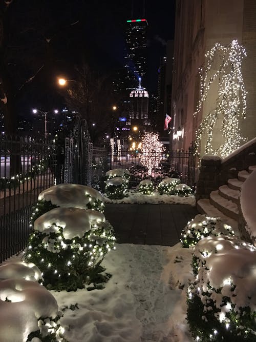 Základová fotografie zdarma na téma chicago, zima