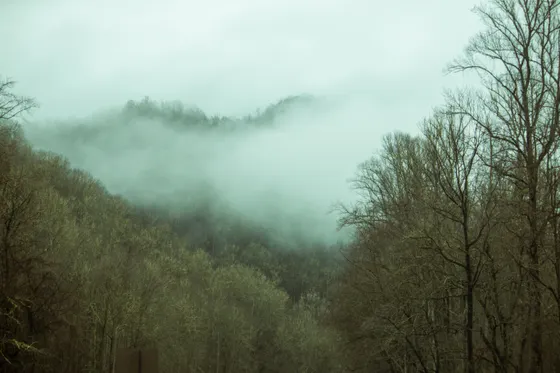 Blue ridgelines layered in fog in the Great Smoky Mountains