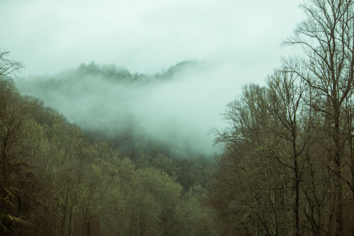 Featured image for No Finishers Again: The 2026 Barkley Marathons