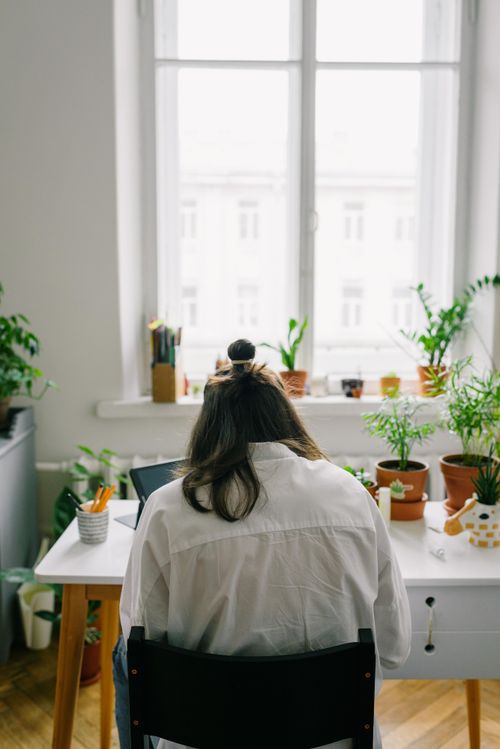 Free Cozy home office setup with plants and sunlight, perfect for remote work inspiration. Stock Photo