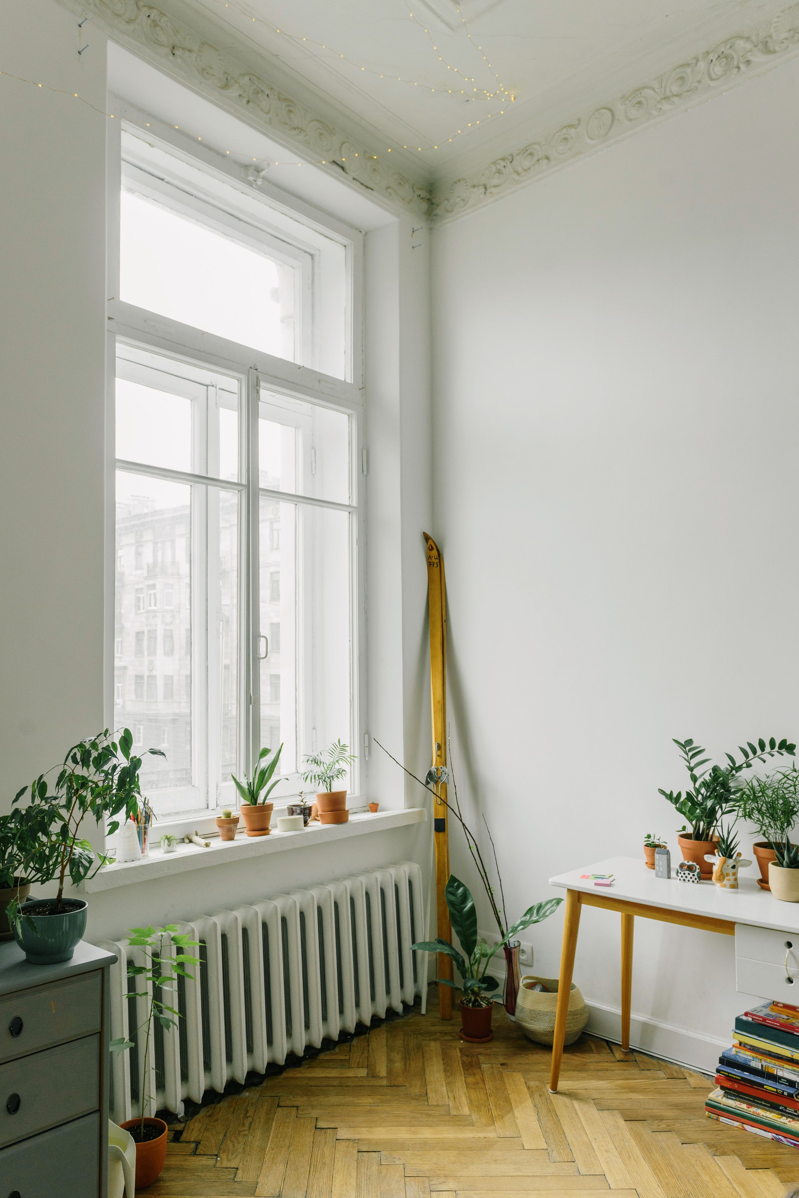 Intérieur lumineux et propre décoré de plantes vertes
