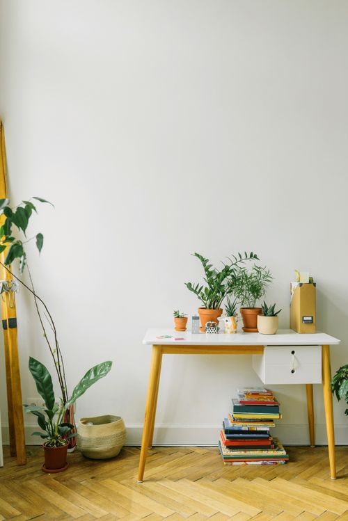 Free A contemporary desk setup with potted plants, books, and modern furniture indoors. Stock Photo