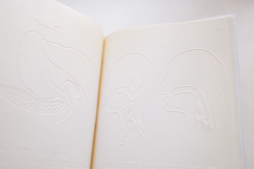 Detailed close-up of embossed anatomy diagrams on an open braille book page.