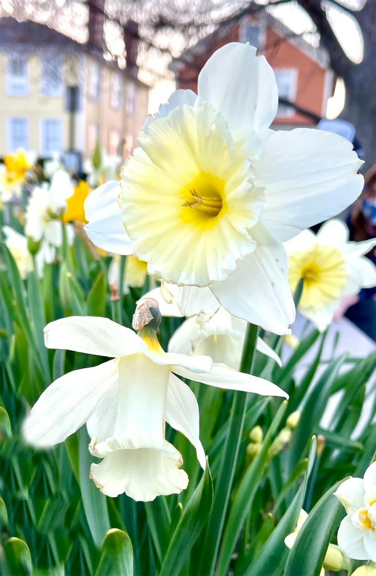 Person lying in bed at night listening to audio on a smartphone