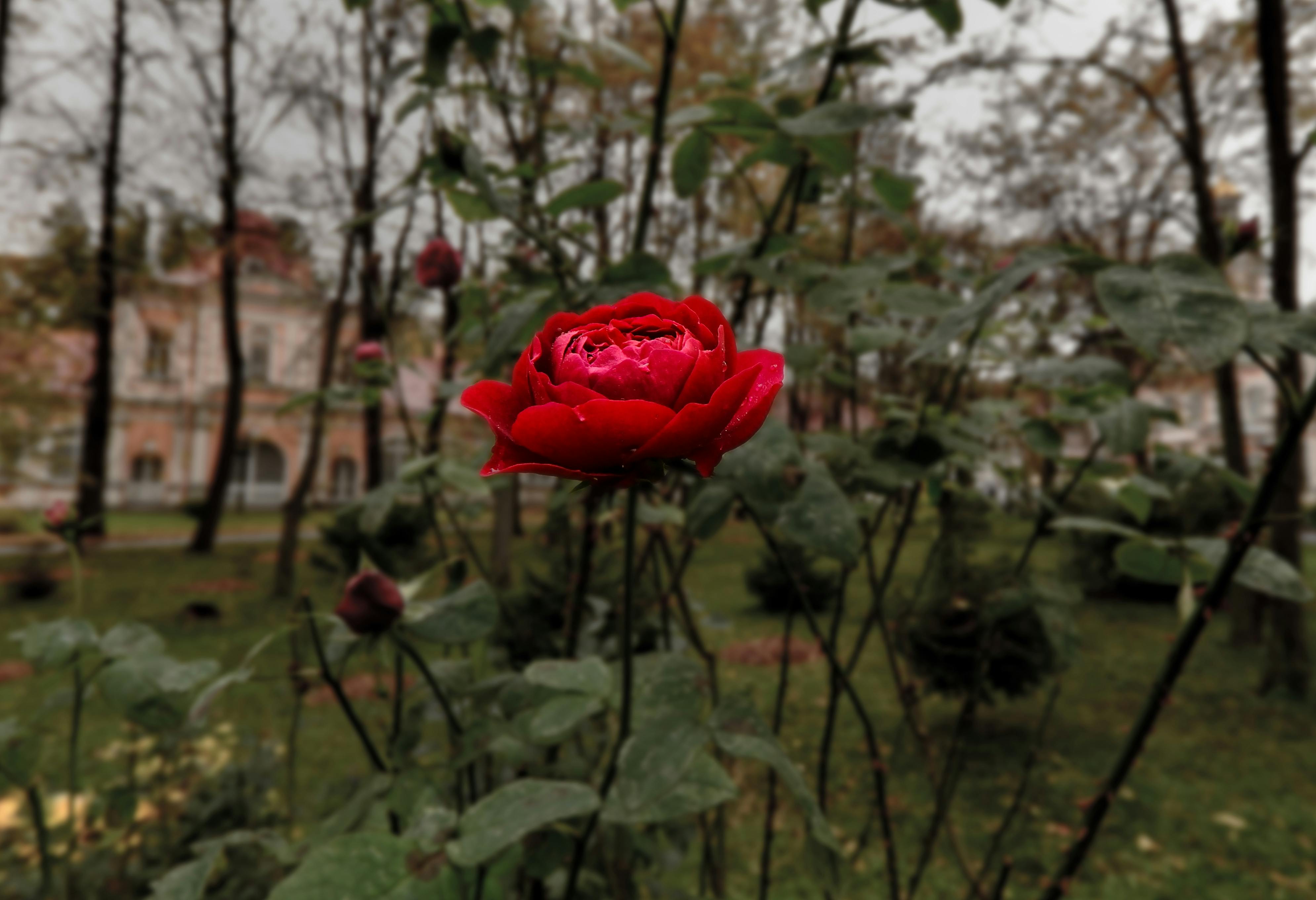 Городской и сельский пейзаж