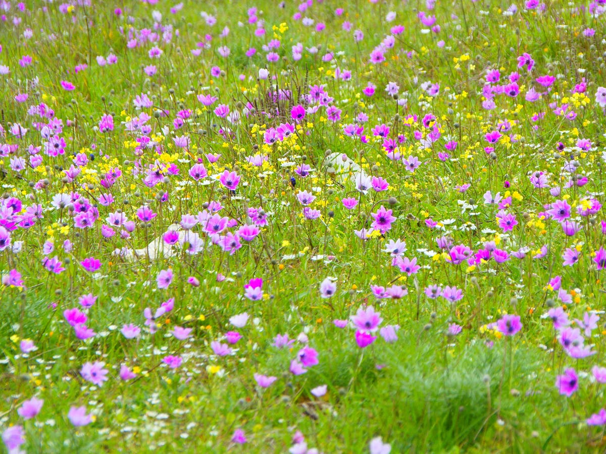 Person journaling with a cup of coffee, reflecting on a past experience
