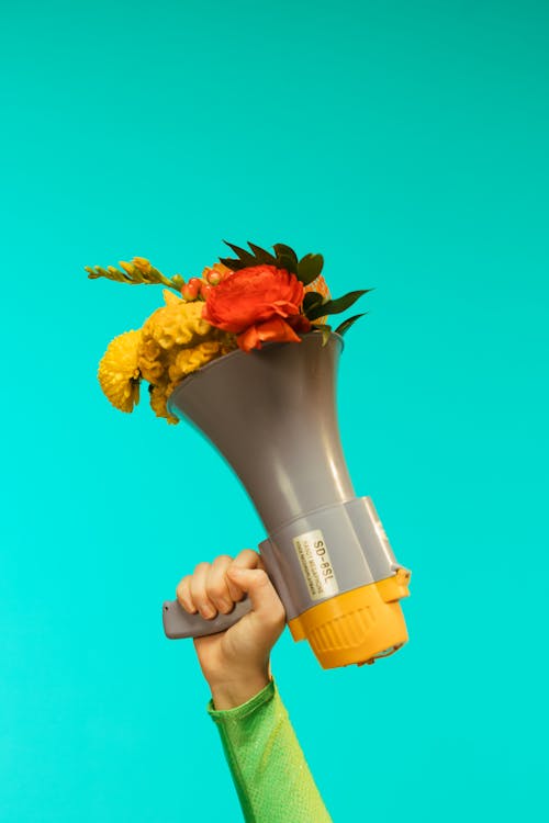 Foto d'estoc gratuïta de bullhorn, flors, fons blau