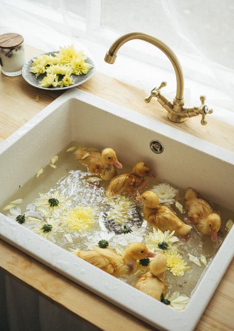 Six ducklings floating with flowers in a kitchen sink, creating a charming scene.