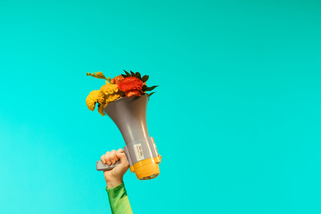 Flowers in a Megaphone. a Bouquet of Flowers Sticks Out of the Megaphone.  Creative Concept Stock Photo - Image of summer, speech: 244168408