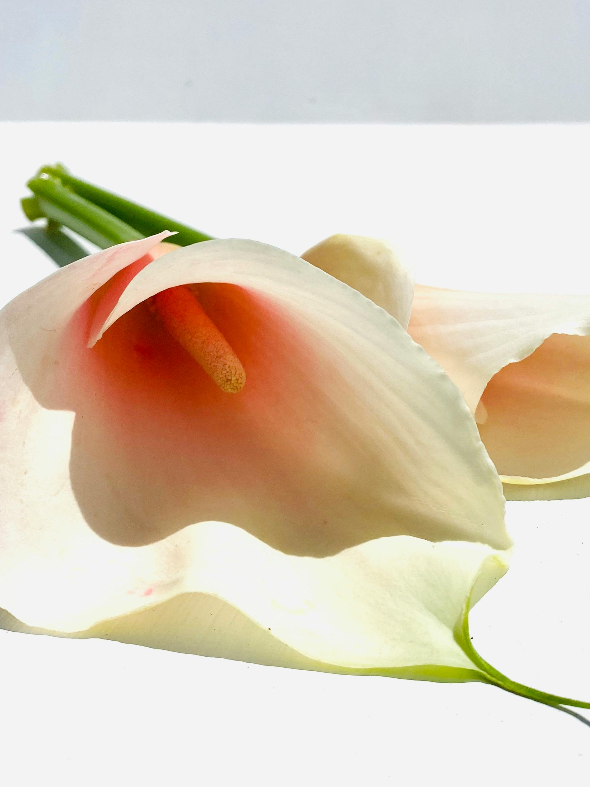 Beautiful close-up of white Calla lilies showcasing their delicate petals and elegant form.
