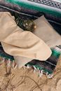 Blanket and Pillow on the Picnic Blanket