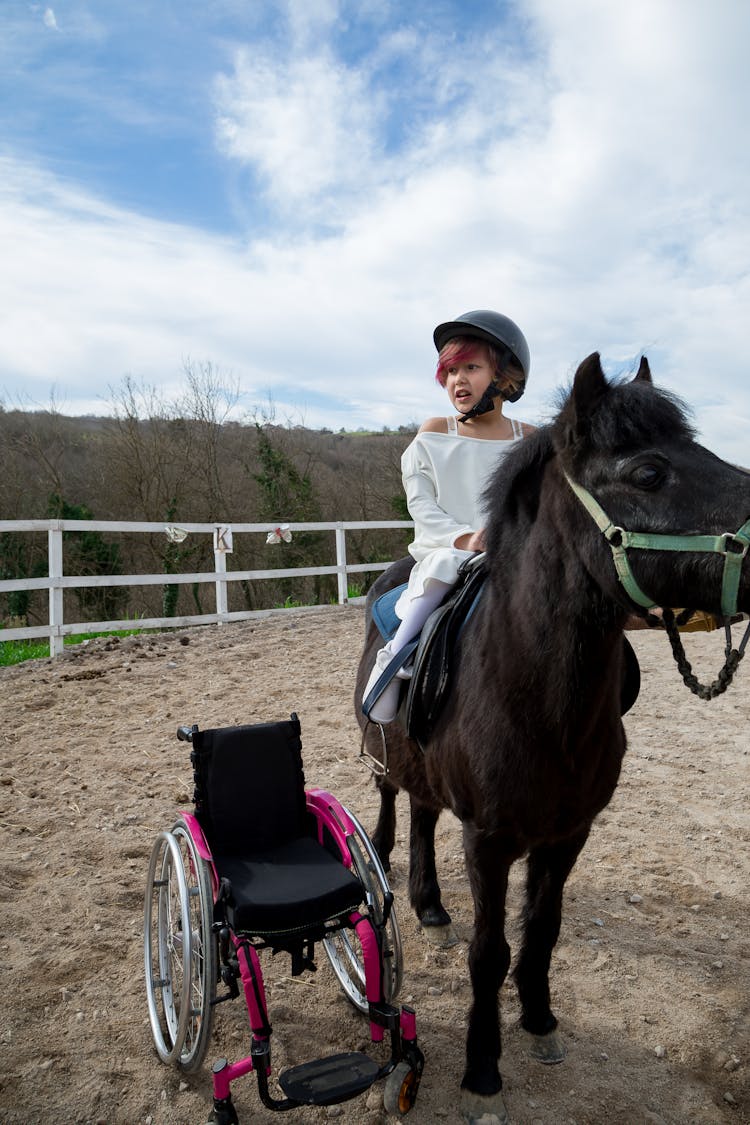 Adorable Girl On Black Pony With Harness