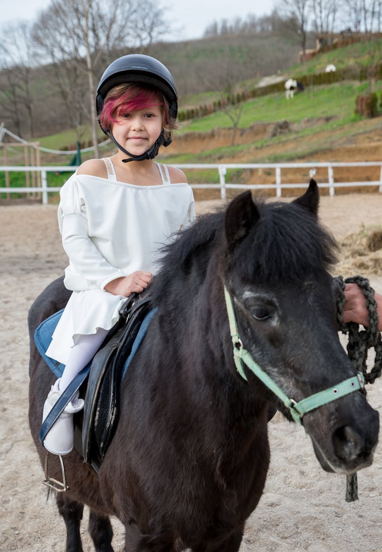 Cute Girl In Helmet On Black Pony With Harness