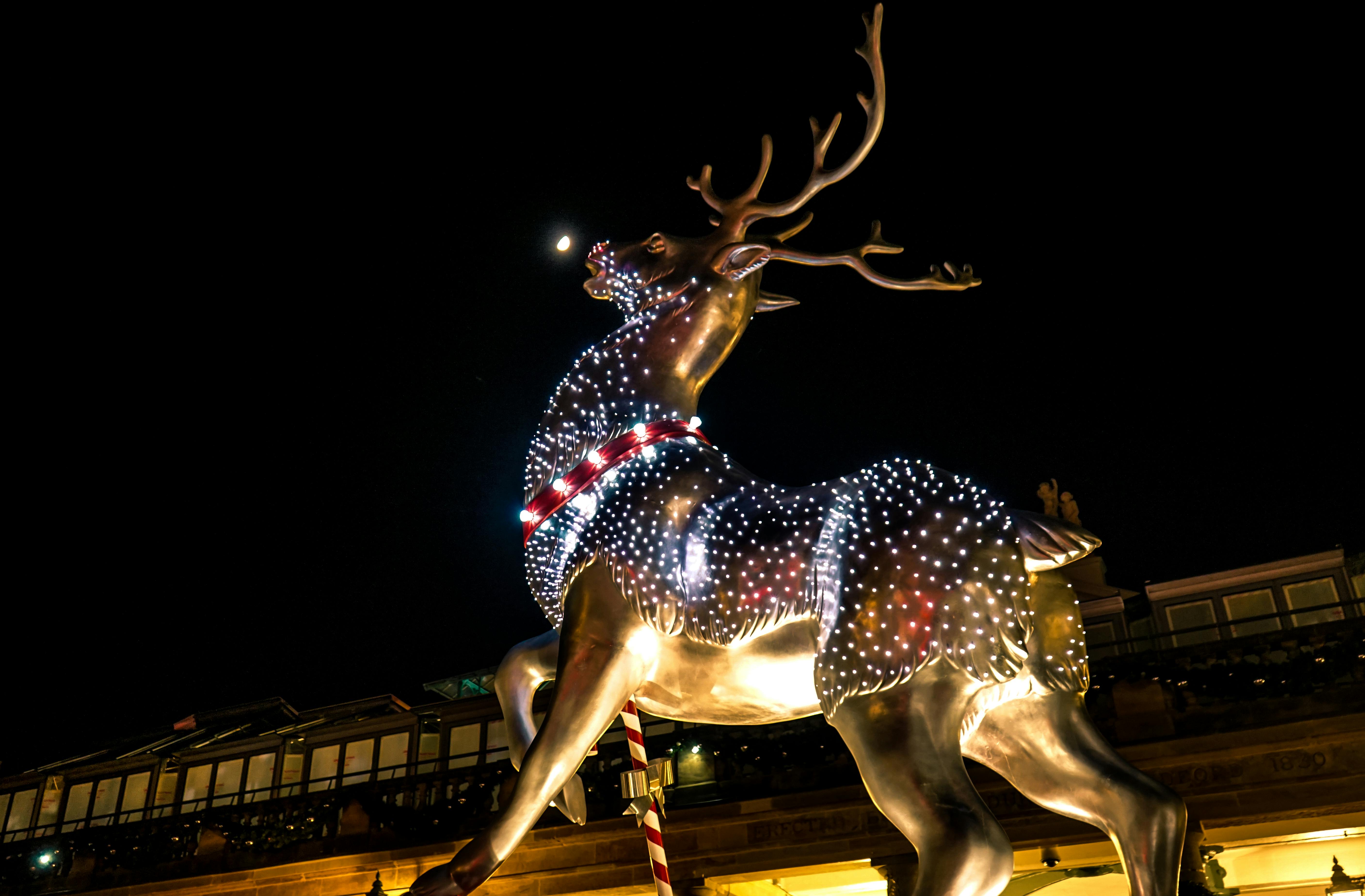 Gold Lighted Deer Decor · Free Stock Photo