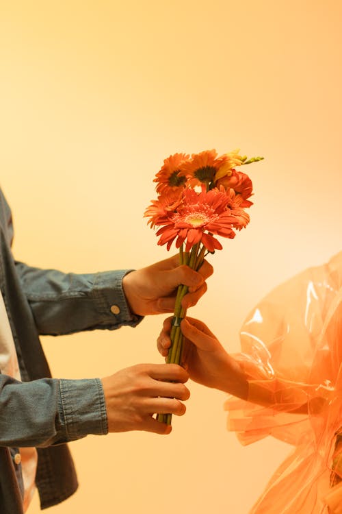 Free Two People Holding Pink Flowers Stock Photo