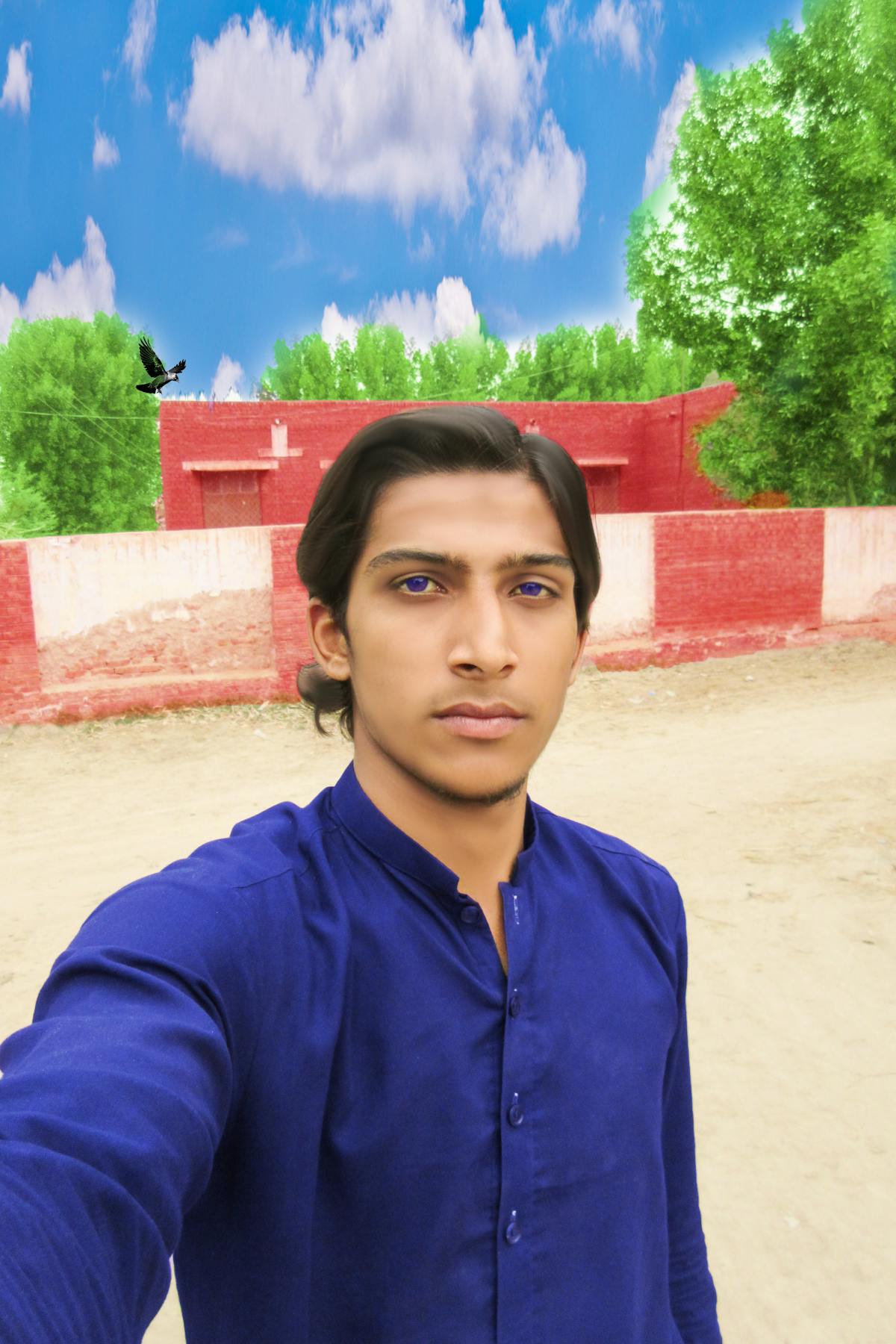 Whipped cottage cheese in a food processor for a smooth texture