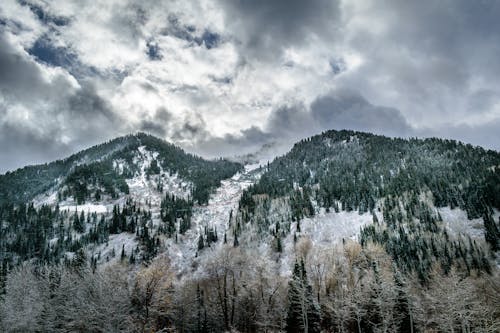 Gratis lagerfoto af bjerg, dagslys, forkølelse