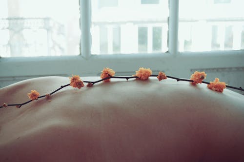 Orange Petaled Flowers on Person's Back