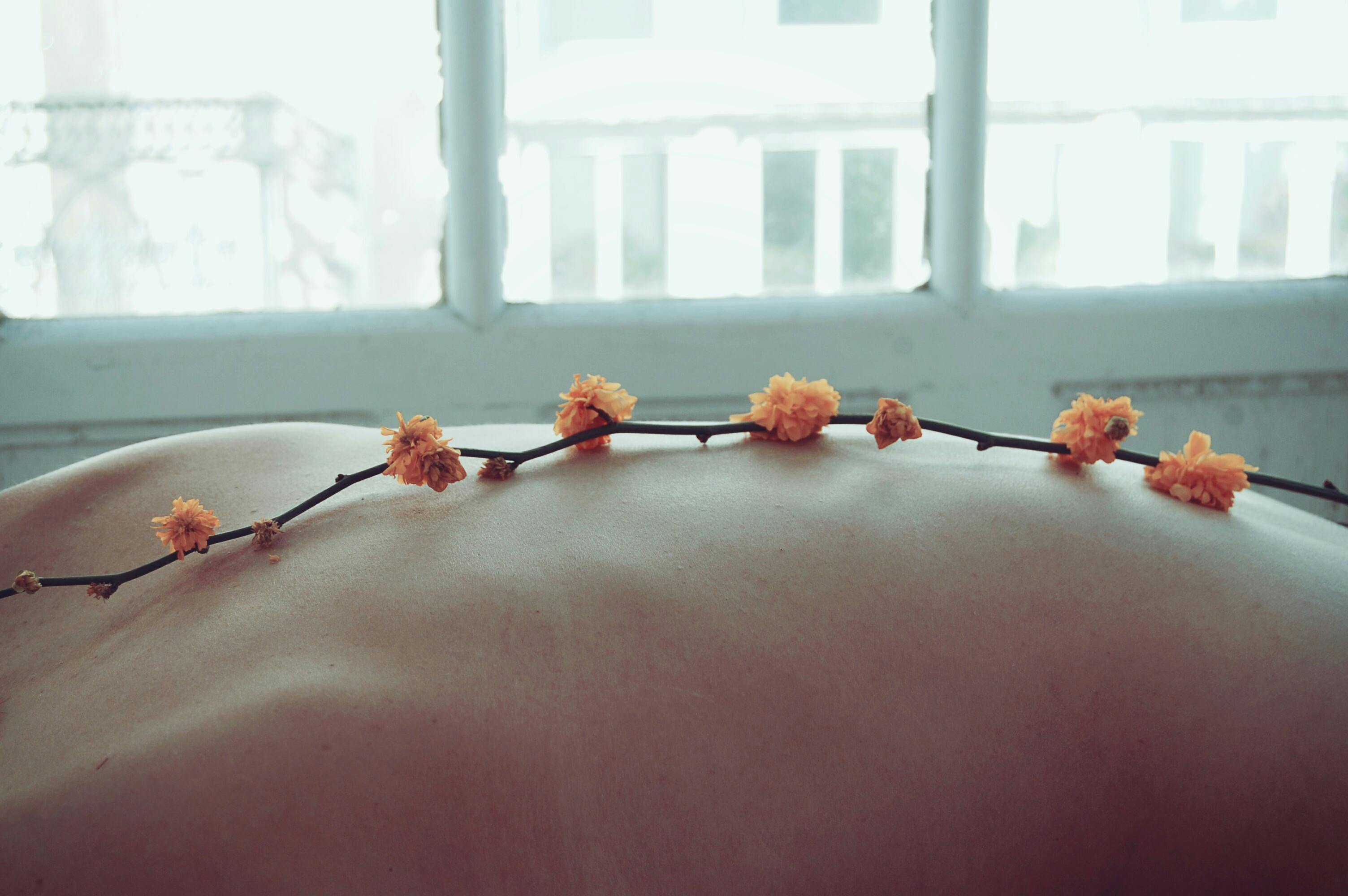 Orange Petaled Flowers on Person's Back · Free Stock Photo