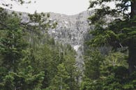 拉斯维加斯附近的内华达山景宁静宜人，森林郁郁葱葱