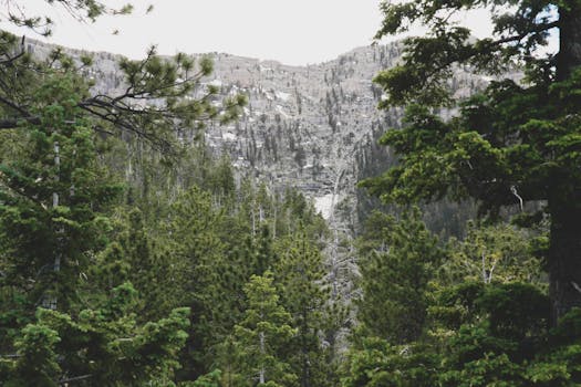 Tranquil mountain scene featuring lush forests near Las Vegas, NV.
