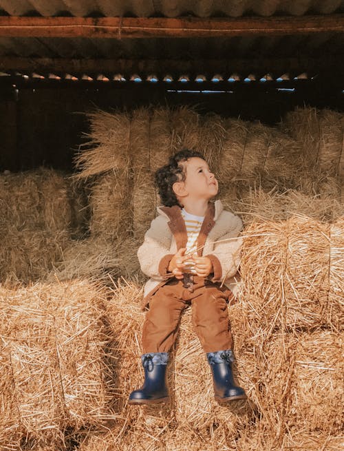 A Child Sitting on Stacks of Hay Bales