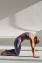 A Person Doing a Cat Pose in Yoga
