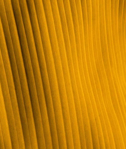 Free Close-up of a yellow surface featuring vertical lines and patterns. Stock Photo